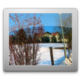 collage image title